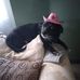 Melody Timmons - Facebook