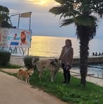 Mella Töpfer - Facebook