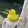 Meltor Me - @meltorme76 - TikTok