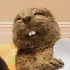 meltorme - @melthorme - TikTok