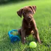melltrotter - @melltrotter - TikTok