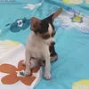 Mel Trujillo - @mat120112 - TikTok