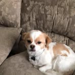Mel Tsai - Facebook