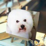 Mel Tse - @baybayma - Instagram