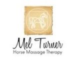 Mel Turner - Horse Massage Therapy - @mel_turner_horse_massage - Instagram