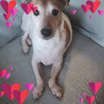 Mel Vails - @melvails - Instagram