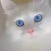 Mel Vasquez - @melvasquez2020 - TikTok