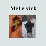 Mel e Vick - @mel_vick79 - Instagram