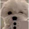melvick - @melvick916 - TikTok