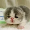 Mel - @mel.vielman - TikTok