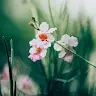 mel vigil - @melvigil0 - TikTok