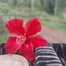 Mel Vin - Facebook
