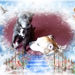 Mel Webb - Facebook