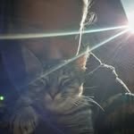 Mel Webster - @mel_369_ - Instagram