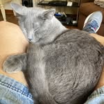 Mel Weinstein - @chymie1 - Instagram