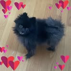 Mela Kim - Facebook