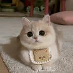 Mela Kim - Facebook