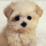 Melana_@smith - @melana_smith - Instagram