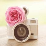 Melanie Aaron - @melanie.aaron.photography - Instagram