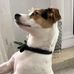 Mel Abbott - Facebook