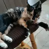 Melanie Abney - @melanieabney540 - TikTok
