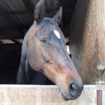 Ackermann Melanie - @ackermann_melanie - Instagram