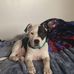 Melanie Alvey - Facebook