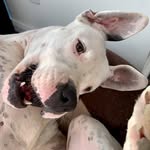 Melanie Appel - @melli_werweissdasschon - Instagram