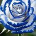 Melanie Appel - Facebook