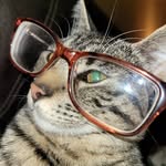 Melanie Autry Landreth - @autrylandreth - Instagram
