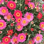 Melanie Bäcker - @backer3265 - Instagram