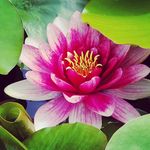 Melanie Beatty Ryan - @ryanphoto551 - Instagram