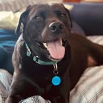 Melanie Bee - @1littlewarrior - Instagram
