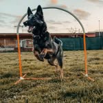 Melanie Bertsch - @mc.bertsch - Instagram