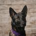 Melanie Bertsch - Facebook