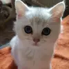 Melanie Biermann - @melanie.biermann - TikTok