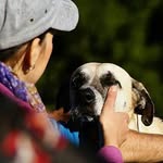 Melanie Bittner - @hundemassage_handundhund - Instagram