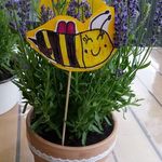 Melanie Blankenburg - @melanie.blankenburg1378 - Instagram
