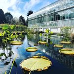 Melanie Bolin - @map.globe.compass - Instagram