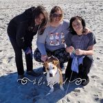 Melanie Bolin Peterson - @melaniepeterson1848 - Instagram