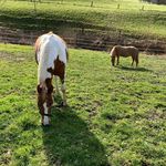 Melanie Bucher - @bucher8120 - Instagram