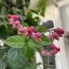 Melanie Stephens Buckner - @melaniestephensbu - TikTok