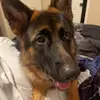 Melanie Bunnell - @melaniebunnell - TikTok