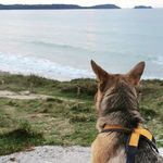 Melanie Cann - @syracuse_dogwear - Instagram