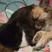 Melanie Carruthers - Facebook