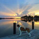 Melanie Cassidy McFadden - @bleu5920 - Instagram