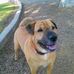 Melanie Chenault - Facebook