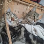 Melanie Christopher Havret Ladrier - @melanie311285 - Instagram
