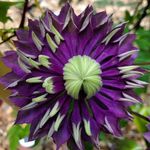 Melanie Cofer - @photomel63 - Instagram