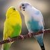 Melanie Correll - Facebook